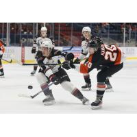 Vancouver Giants' Brenden Pentecost versus Medicine Hat Tigers' Cru Hanas