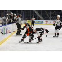 Vancouver Giants' Mazden Leslie and Medicine Hat Tigers' Brayden Boehm in action