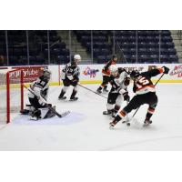 Vancouver Giants' Samuel Honzek and Jesper Vikman battle Medicine Hat Tigers' Dru Krebs