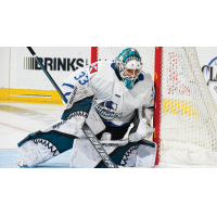 Wichita Thunder goaltender Strauss Mann