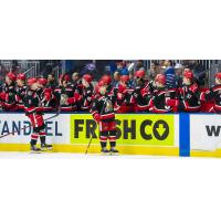 Grand Rapids Griffins exchange high fives along the bench