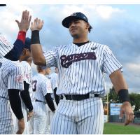 Somerset Patriots outfielder Jasson Dominguez