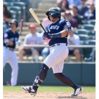 Somerset Patriots infielder Andres Chaparro