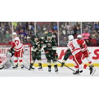 Grand Rapids Griffins battle the Iowa Wild