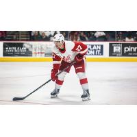 Grand Rapids Griffins forward Austin Czarnik