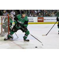 Texas Stars defenseman Michael Karow