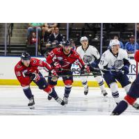 South Carolina Stingrays forwards Lawton Courtnall (10) and Anthony Del Gaizo (22)