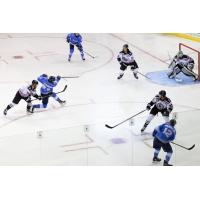 Pensacola Ice Flyers in action