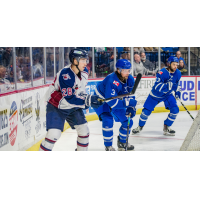 Wichita Thunder takes on the Tulsa Oilers