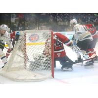 Wheeling Nailers battle the Kalamazoo Wings