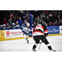 Belleville Senators' Ridly Greig and Syracuse Crunch's P.C. Labrie on the ice