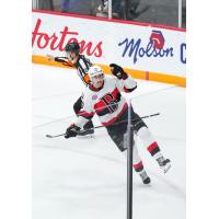 Belleville Senators' Egor Sokolov In Action