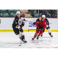 Vancouver Giants' Mazden Leslie battles Prince George Cougars' Koehn Ziemmer