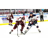 Peterborough Petes centre J.R. Avon handles the puck against the Saginaw Spirit