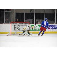 Sioux City Musketeers goaltender Axel Mangbo