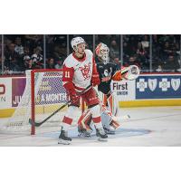 Grand Rapids Griffins center Joel L'Esperance vs. the San Diego Gulls