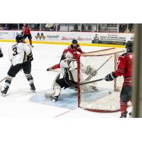 Forward Jake Goldowski takes a shot for the Birmingham Bulls