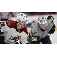 Tucson Roadrunners' Travis Barron and Henderson Silver Knights' Sheldon Rempal in action