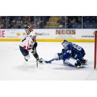 Springfield Thunderbirds right wing Martin Frk shoots against the Syracuse Crunch