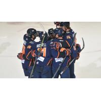 Greenville Swamp Rabbits celebrate a goal