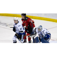 Victoria Royals' Jason Spizawka and Tyler Palmer and Prince George Cougars' Koehn Ziemmer on the ice