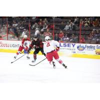 Allen Americans' Kris Myllari and Colton Saucerman battle Cincinnati Cyclones' Mathew Berry