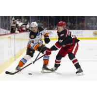 San Diego Gulls' Danny O'regan Battles Grand Rapids Griffins' Pontus Andreasson