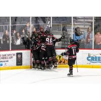 Birmingham Bulls celebrate a goal