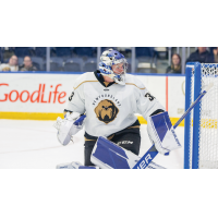 Newfoundland Growlers goaltender Luke Cavallin