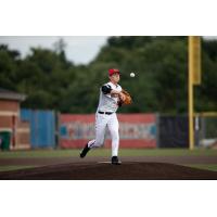 Washington Wild Things pitcher Justin Showalter