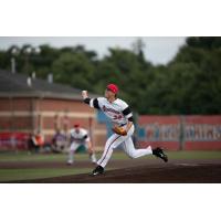 Washington Wild Things pitcher Justin Showalter