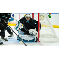 Goaltender Zachary Emond with the San Jose Barracuda