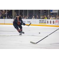 Knoxville Ice Bears' Kyler Matthews In Action