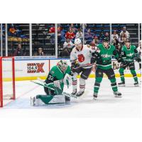 Texas Stars' Matt Murray battles Rockford IceHogs' Buddy Robinson