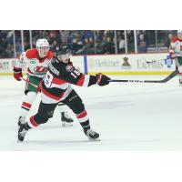 Belleville Senators' Jarid Lukosevicius in action