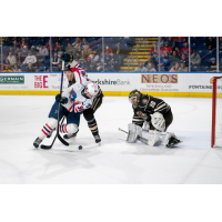 Springfield Thunderbirds left wing Matthew Highmore with the puck against the Hershey Bears