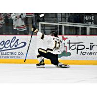 Bismarck Bobcats forward Erik Atchison