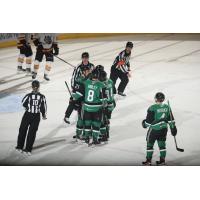 Texas Stars' Thomas Harley, Oskar Back, Marian Studenic And Will Butcher On The Ice