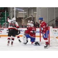 Belleville Senators' Cole Reinhardt In Action