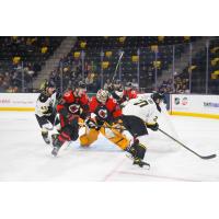 Cincinnati Cyclones battle the Iowa wild