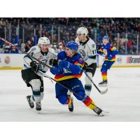 Winnipeg Ice's Graham Sward and Skyler Bruce on the ice