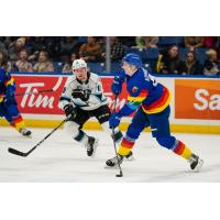 Winnipeg Ice's Vladislav Shilo battles Austin Elliott of the Saskatoon Blades