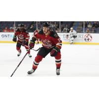 Tucson Roadrunners' Bokondji Imama And Travis Barron In Action