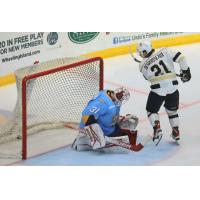 Cédric Desruisseaux of the Wheeling Nailers scores against the Toledo Walleye