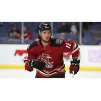 Tucson Roadrunners' Jean-Sebastien Dea in action