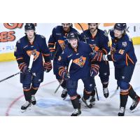 Greenville Swamp Rabbits celebrate a goal