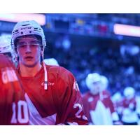 Vancouver Giants forward Samuel Honzek