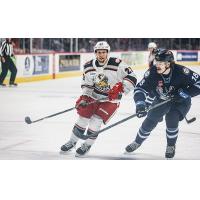 Grand Rapids Griffins forward Austin Czarnik