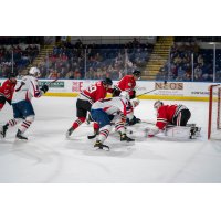 Springfield Thunderbirds battle the Rockford IceHogs