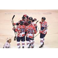 South Carolina Stingrays celebrate win